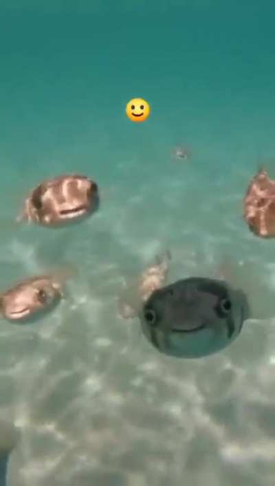 🙂