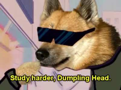 Sailor Doge meets unwacky character