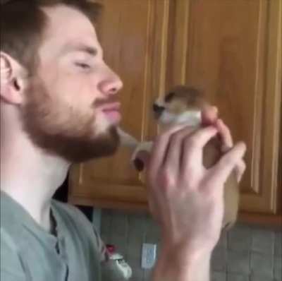 No kissy hooman!