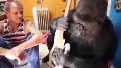 Guitarist monke