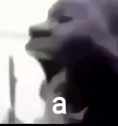 Essa é a run da masturbação q todos fazem à noite e não adimitem.