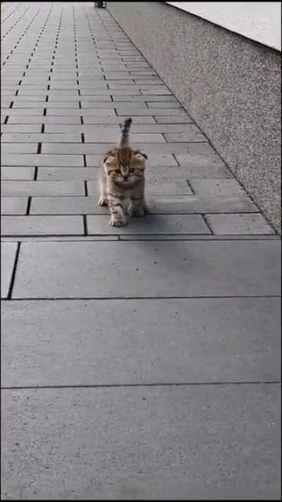 How can you tell its my first time out ?