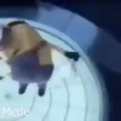 Lo*