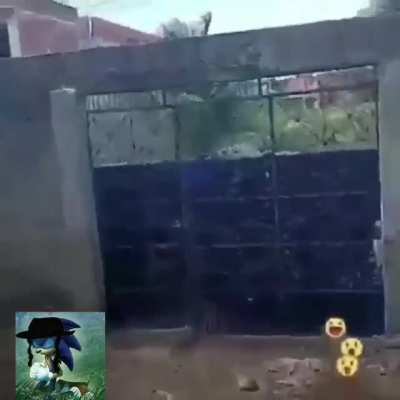 F