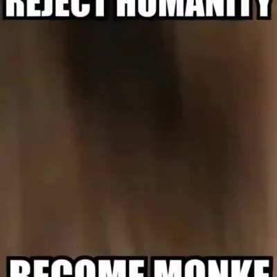 Monke is love, Monke is life…