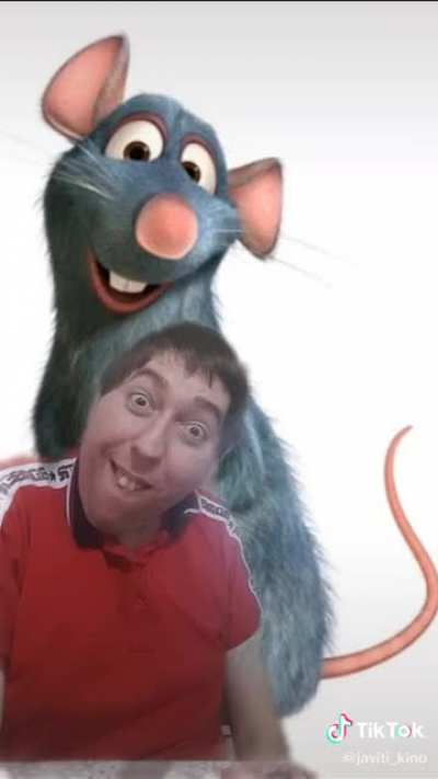 Xd