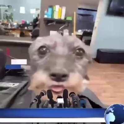 my balls feel funny