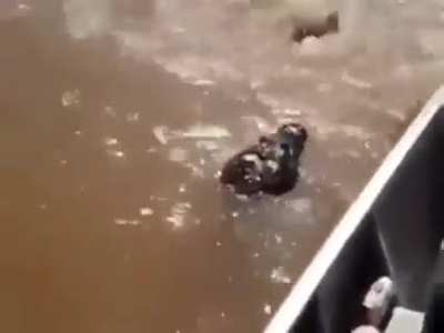 Never mess with a man’s fish