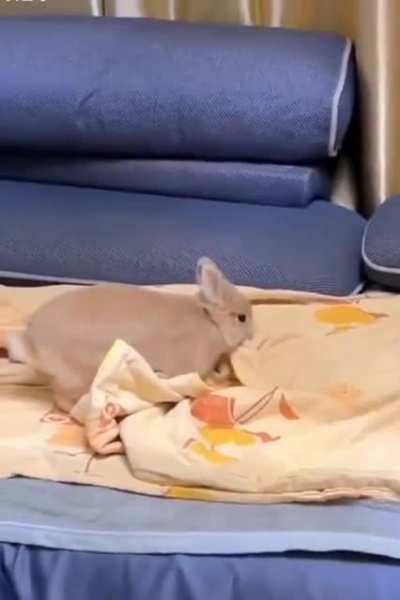 Jump forward, fall back, take a nap.