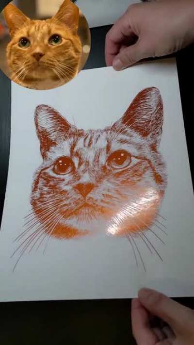 Tim the Cat