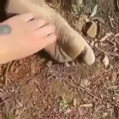 Cosquillas al Admin 😈😈😈😈😈😈