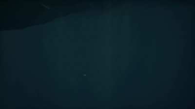 When you've been playing too much Subnautica and go back to Sea of Thieves.