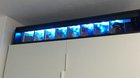 I made my own The Weeknd CD shelf with LED lights and NFC chips for every CD to start the music and lights. What do you guys think ?