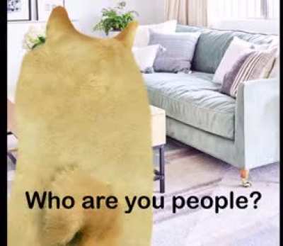 Haram 😡😭🍞