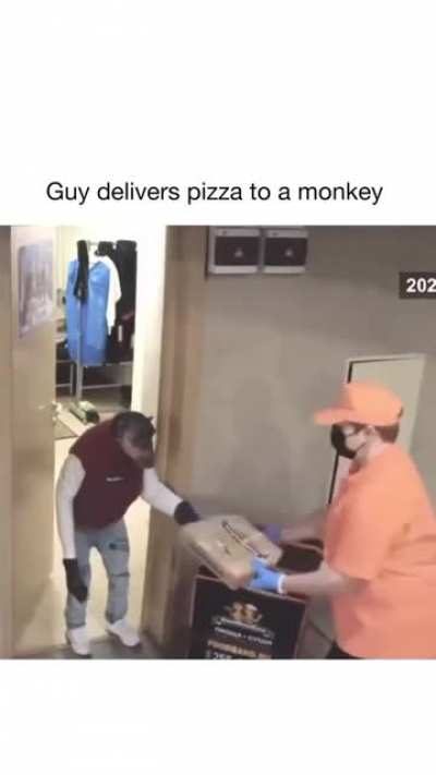 Pizza and monkey