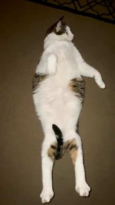 Potato boy with his head to toes stretch