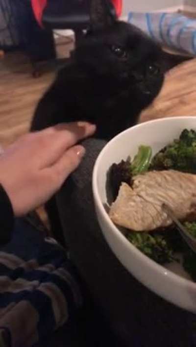 Touch Tha Chicken