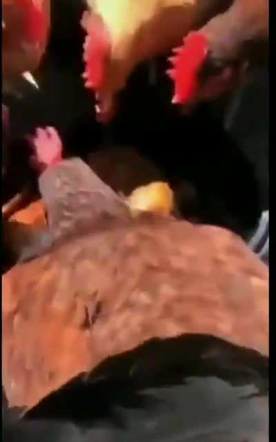 Bruh