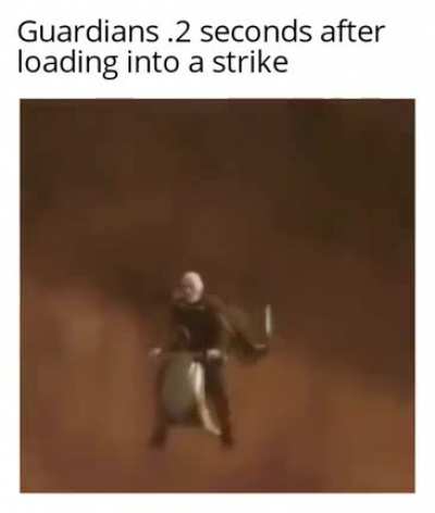 They're zoomin