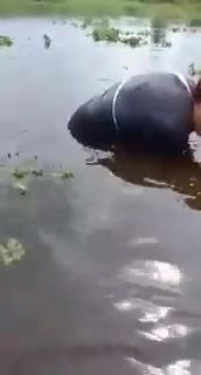 Рыбалка в Белоруси - охуенна!