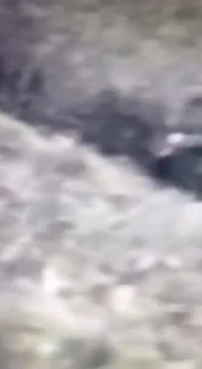 Very long video of a Russian unit getting mauled by artillery and gunfights