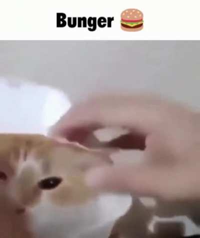 an interesting rule
