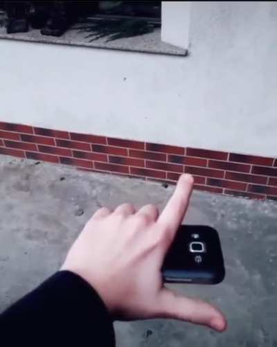 S-a dus telefonul pe pula, urmeaza copilul