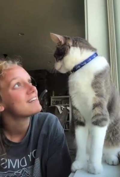 I’m not your cat. You’re my human.