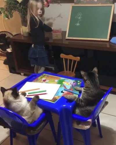Homeschooling