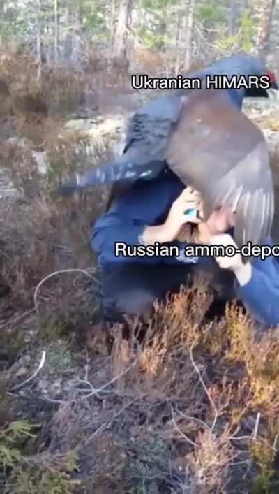 A dumb little HIMAR appreciation shitpost