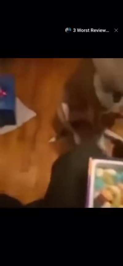 Jellybean Dog