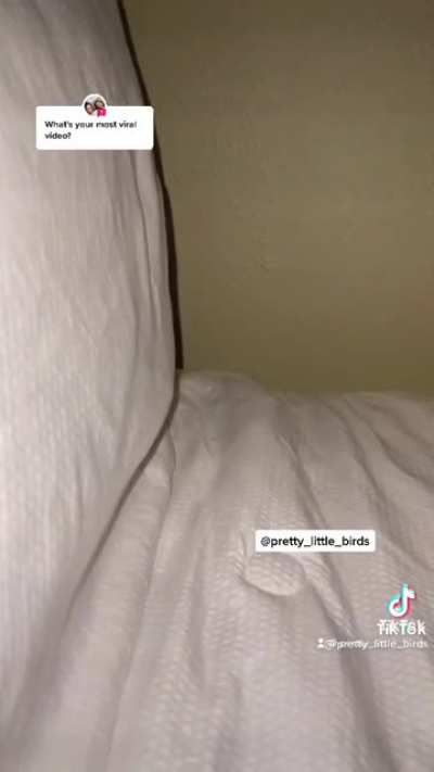 Wanna play peek-a-boo?