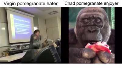 Chad monke