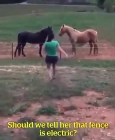 Electric fence
