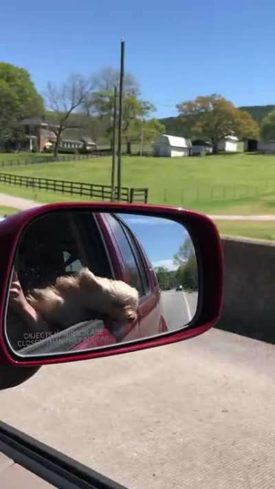Who doesn’t love joyrides?!