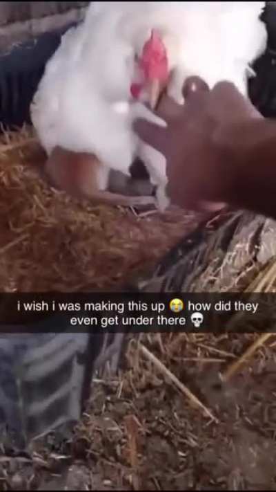 That’s cute though