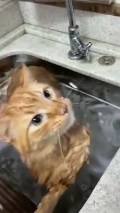 Wahbebbbbbbb....