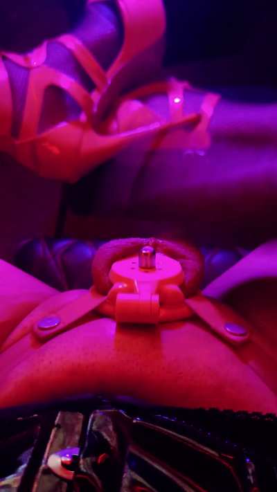 Plappies always My cum leaking out of my inverted cage