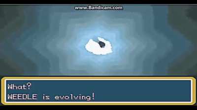 Evolution