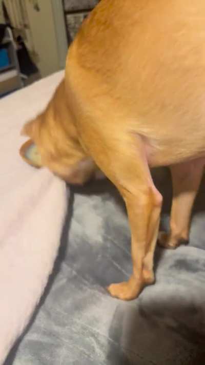 Is she just being weird? What is this?