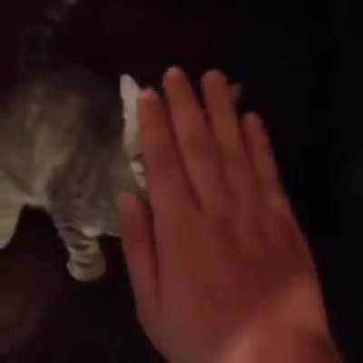 High five?