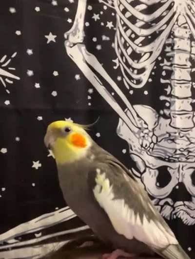 birbfakesneeze