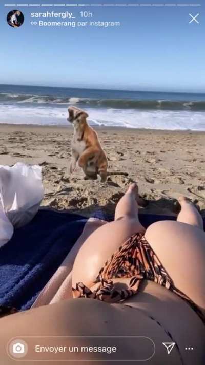 🍑🍑🍑