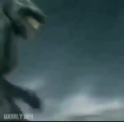 Master chief understands