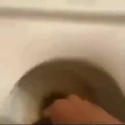 Cock eater 9000