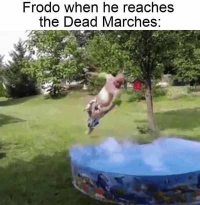 Dive!