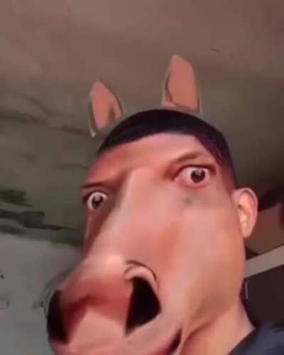 🧍‍♂️->🐎