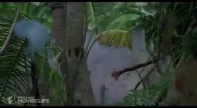 When me and the boys see some birds around the trees, thinking it’s a squad