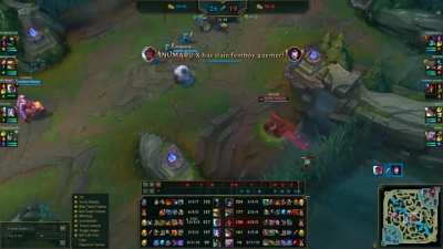 Both teams agreed to stop fighting @ the 30 min mark to watch Rammus and Udyr have a race :D We also agreed that the losing side's team would agree to FF.