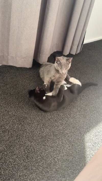 Is this safe playing?